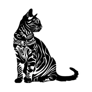 Cat 001