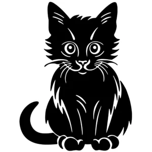 Cat 002