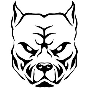 pit bull Dog