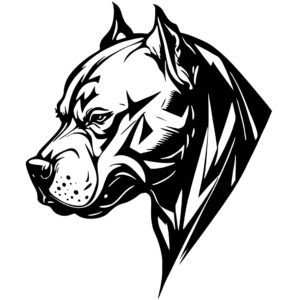 pit bull Dog
