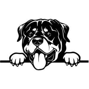 Rottweiler Dog