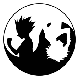 Gon Killua Yin Yang