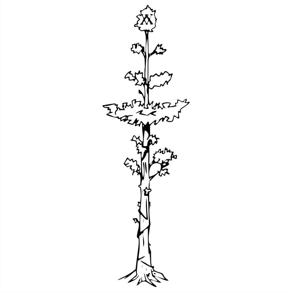 Tree Of Life