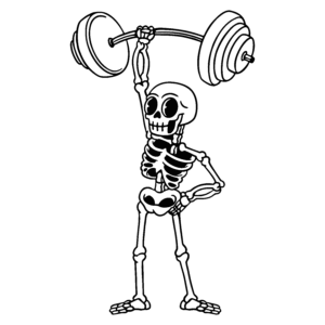 Skeleton